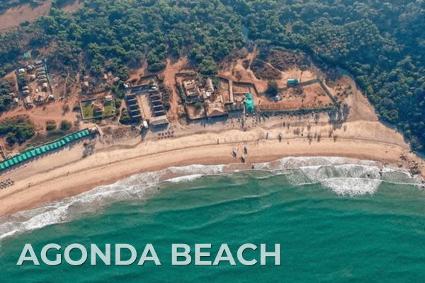 Domestic Tours agonda beach