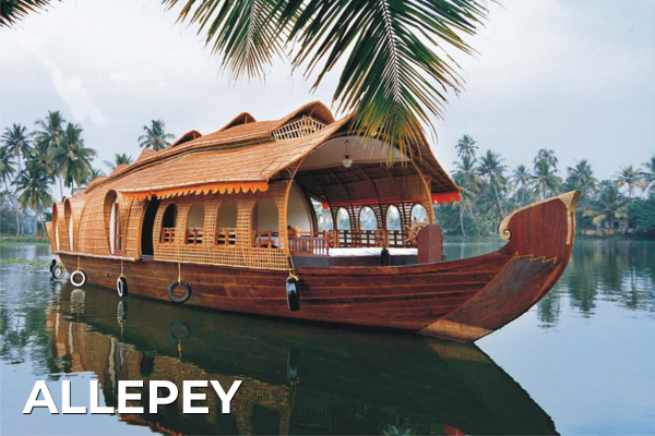 Domestic Tours alleppey