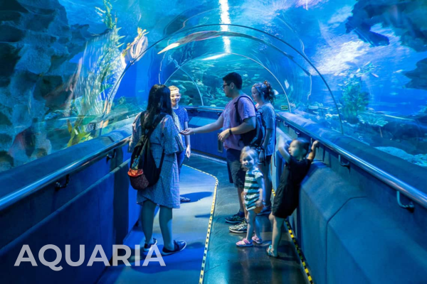 International Tours aquaria
