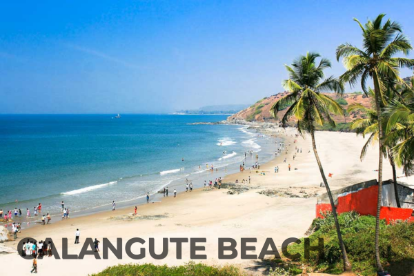 Domestic Tours calangute beach