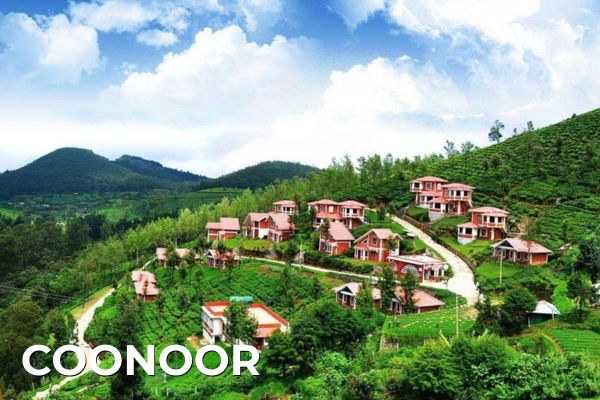 Domestic Tours coonoor