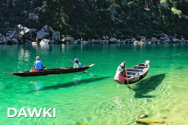 Domestic Tours dawki