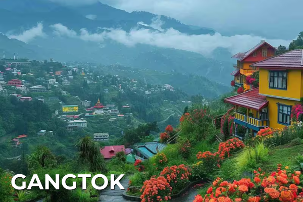 Domestic Tours gangtok