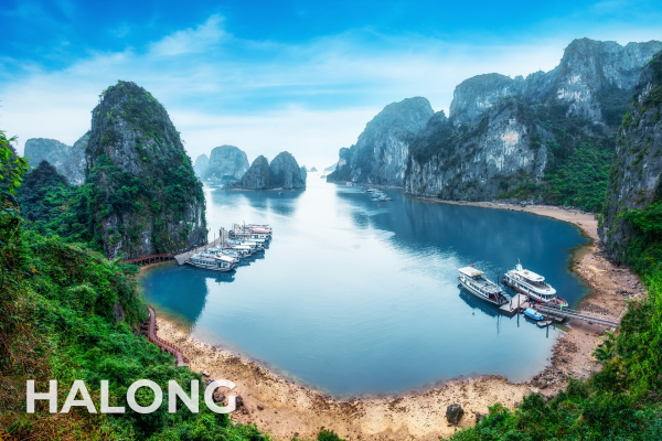 International Tours halong