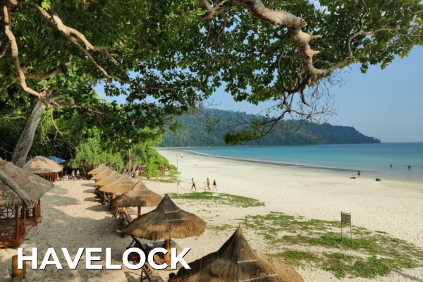 Domestic Tours havelock island