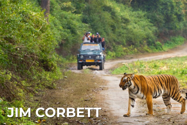 Domestic Tours jim corbett