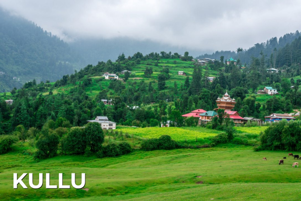 Domestic Tours kullu