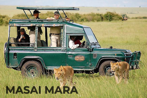 International Tours masai mara