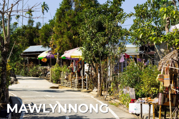 Domestic Tours mawlynnong