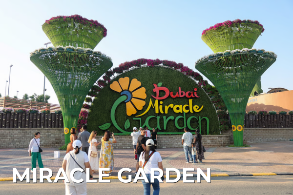 International Tours miracle garden