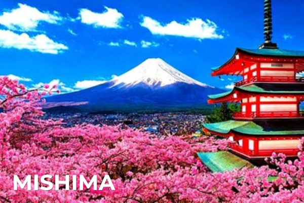 International Tours mishima