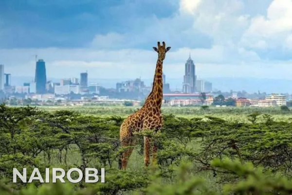 International Tours nairobi