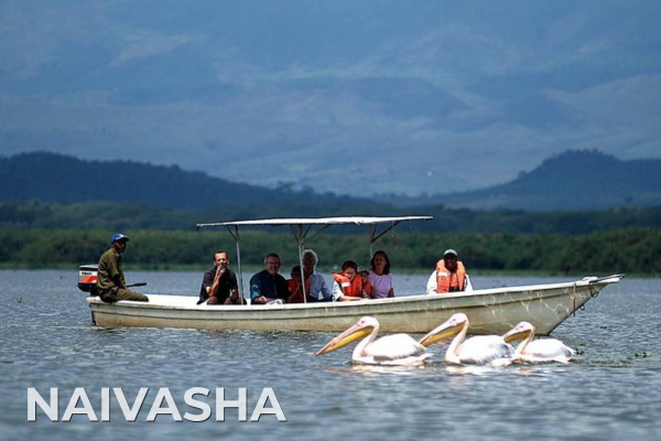 International Tours naivasha