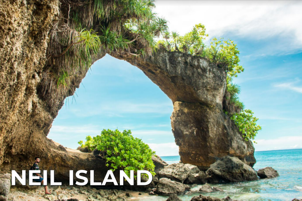 Domestic Tours neil island