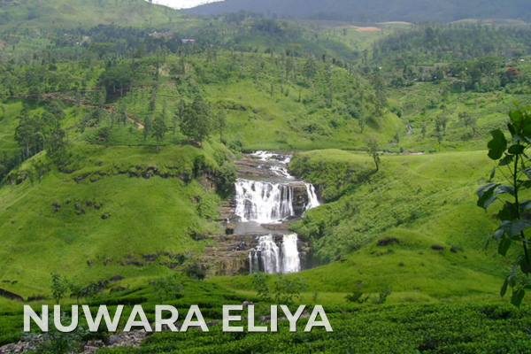 International Tours nuwara eliya