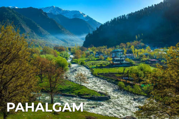 Domestic Tours pahalgam