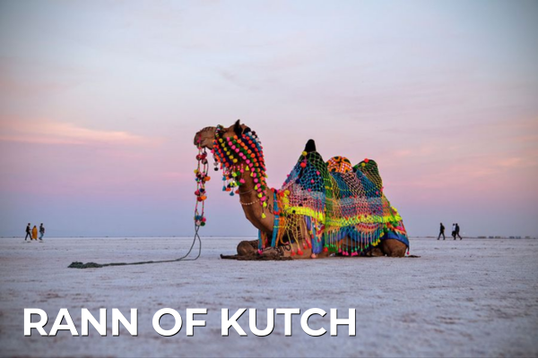 Domestic Tours rann of kutch