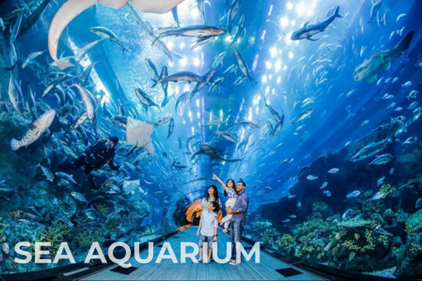 International Tours sea aquarium