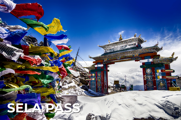 Domestic Tours sela pass