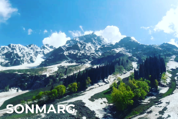 Domestic Tours sonmarg