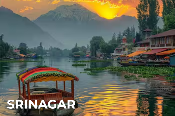 Domestic Tours srinagar