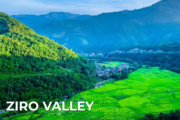 Domestic Tours ziro valley